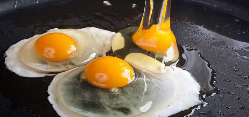 La proteína del huevo ayuda al crecimiento infantil