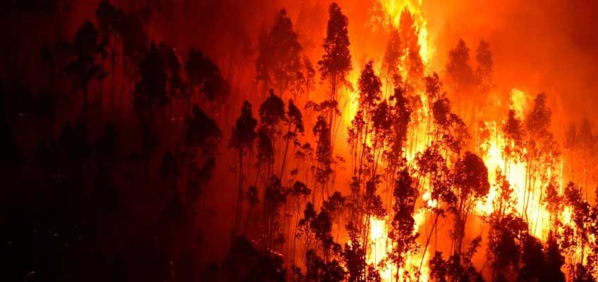 Incendio forestal en Portugal