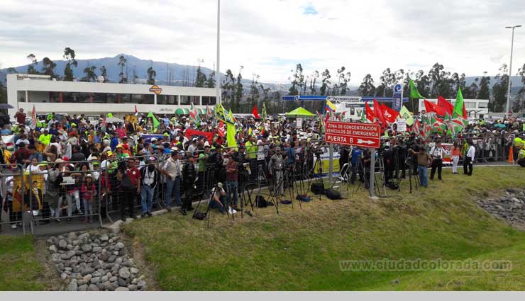 simpatizantes-rafaelcorrea