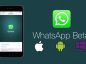 WhatsApp, iOS, Windows Phone, Beta