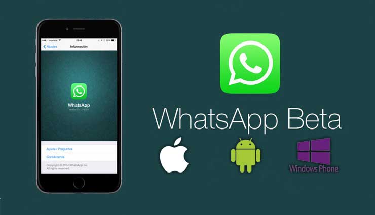 WhatsApp, iOS, Windows Phone, Beta