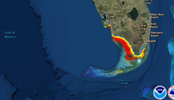 Irma, Huracan, Florida, Estados Unidos, Desastres Naturales