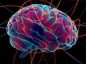 Cerebro_Humano, Ciencia, Estudios Científicos,