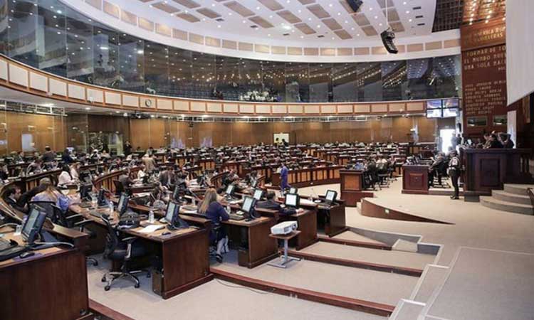 Asamblea Nacional, Política, Ecuador, Consulta Popular