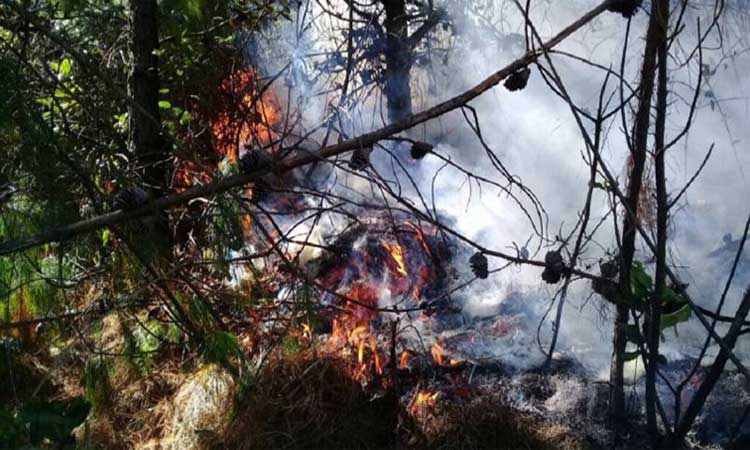 Incendio, Chilla, El Oro, Ecuador