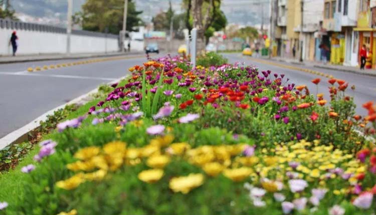 Ambato, Ecuador, Flores y Frutas,