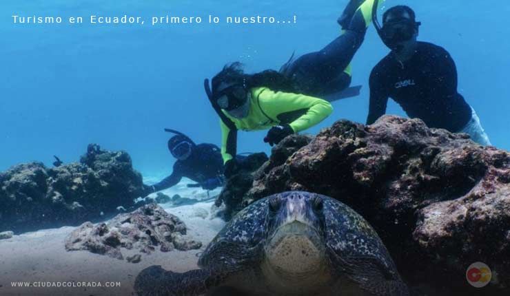 Galápagos Feriado de mayo Ecuador