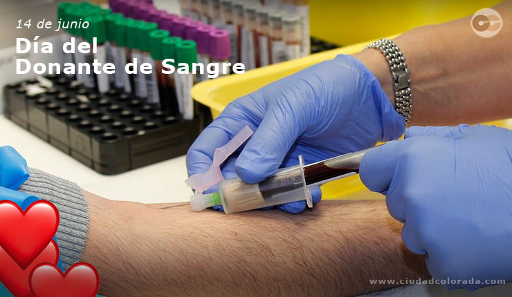 El 14 de junio de cada año se celebra el Día Mundial del Donante de Sangre