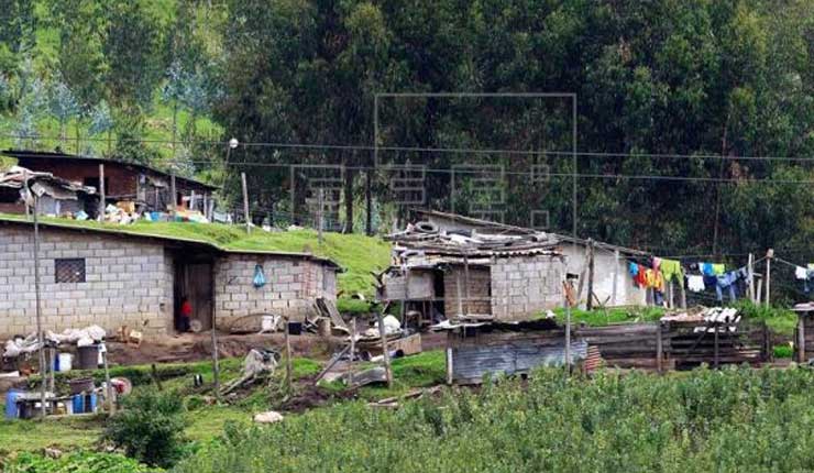 La pobreza rural en Ecuador crece por primera vez en una década y llega al 40 %