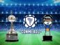 Santiago de Chile acogerá la Final Única de la Copa Libertadores 2019 y la Final Única de la Copa Sudamericana 2019 será en Lima