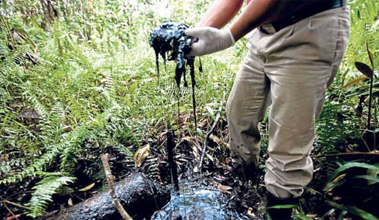 Grupo Yasunidos pide a presidente Moreno no intervenir en caso Chevron