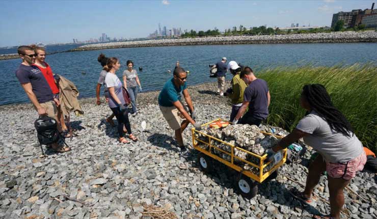 Nueva York busca recuperar su título de capital mundial de las ostras