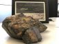 Subastarán roca lunar encontrada en noroeste de África