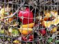 Aplicación española vela por el rescate de los alimentos condenados a la basura