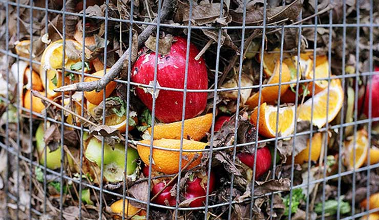 Aplicación española vela por el rescate de los alimentos condenados a la basura