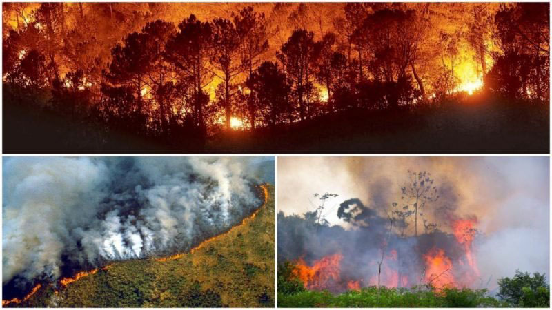 incendio destruye la selva del Amazonas