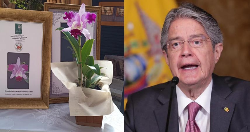 Orquídea Guillermo Lasso